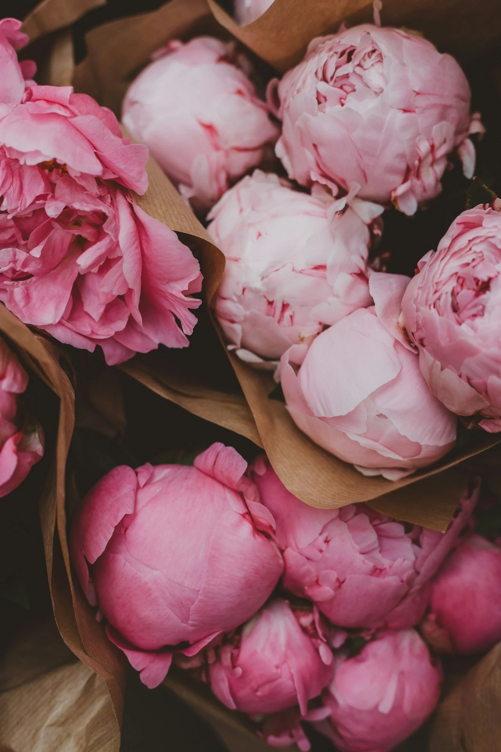 A calm, mindful presence — the heart of anhtta